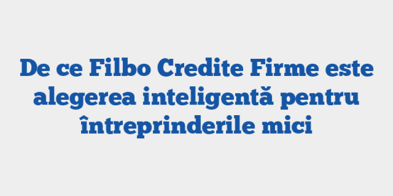 De ce Filbo Credite Firme este alegerea inteligentă pentru întreprinderile mici